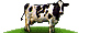moo